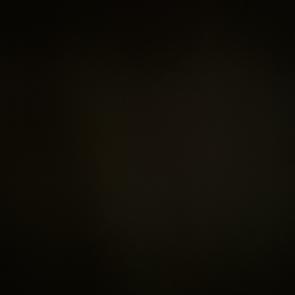 Meet your Posher, Elizabeth - Picture 2 of 2